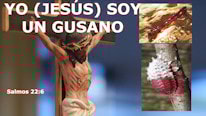 ¿Qué significa que Jesús sea un gusano?