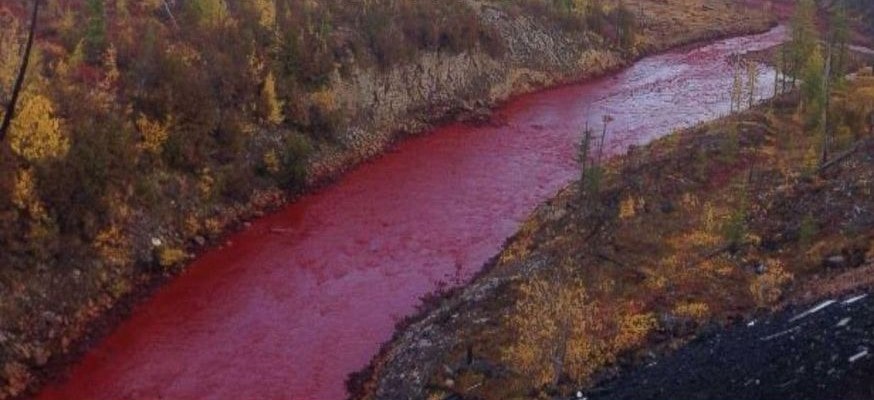 Río se convierte en sangre