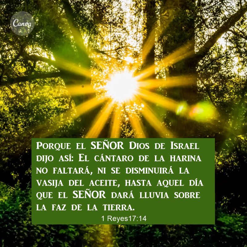 1 Reyes 17:14