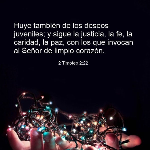 2 Timoteo 2:22