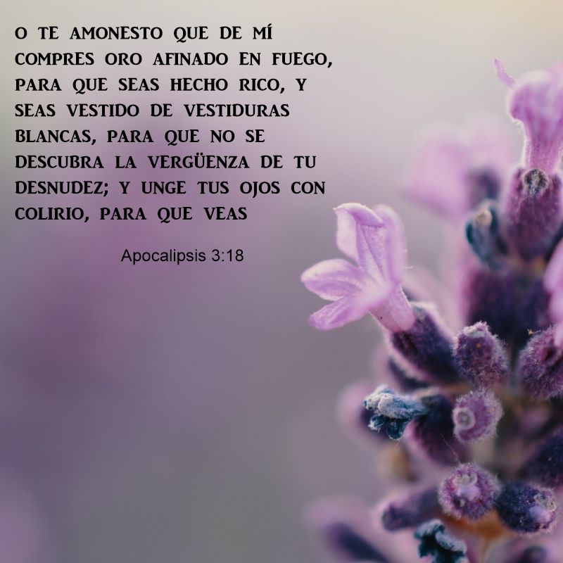 Apocalipse 3:18