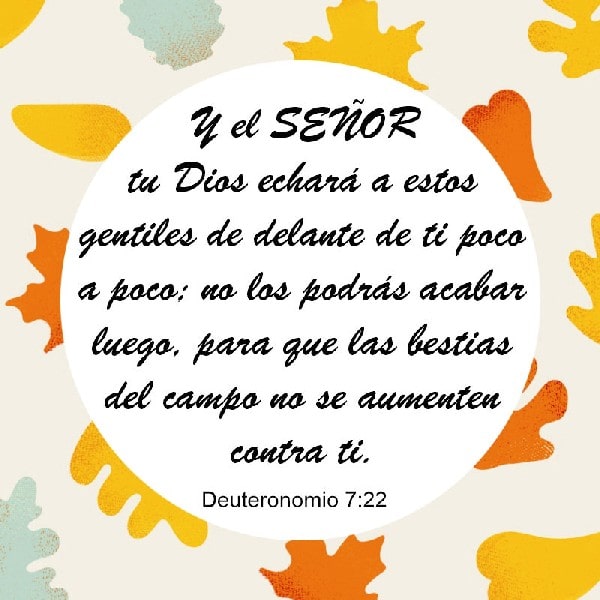 Deuternomio 7:22