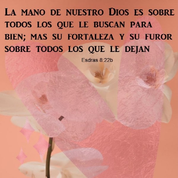 Esdras 8:22