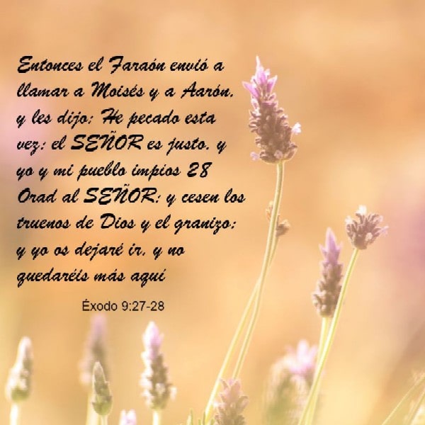 Éxodo 9:27-28