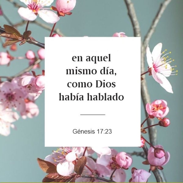 Génesis 17:23