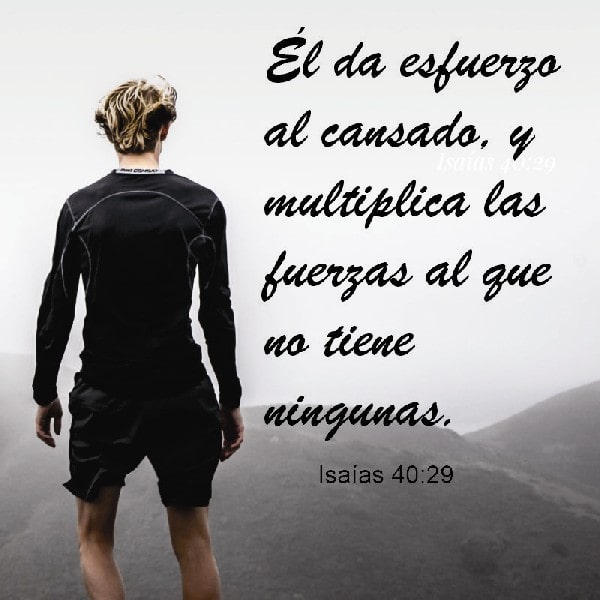 Isaías 40:29