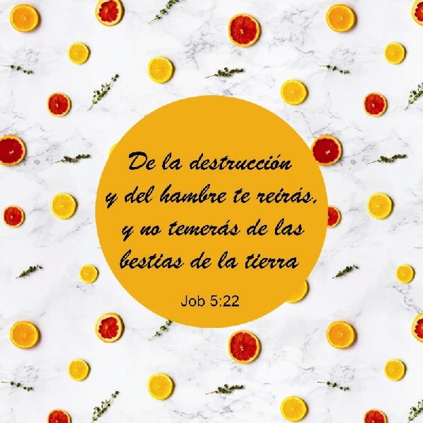 Job 5:22