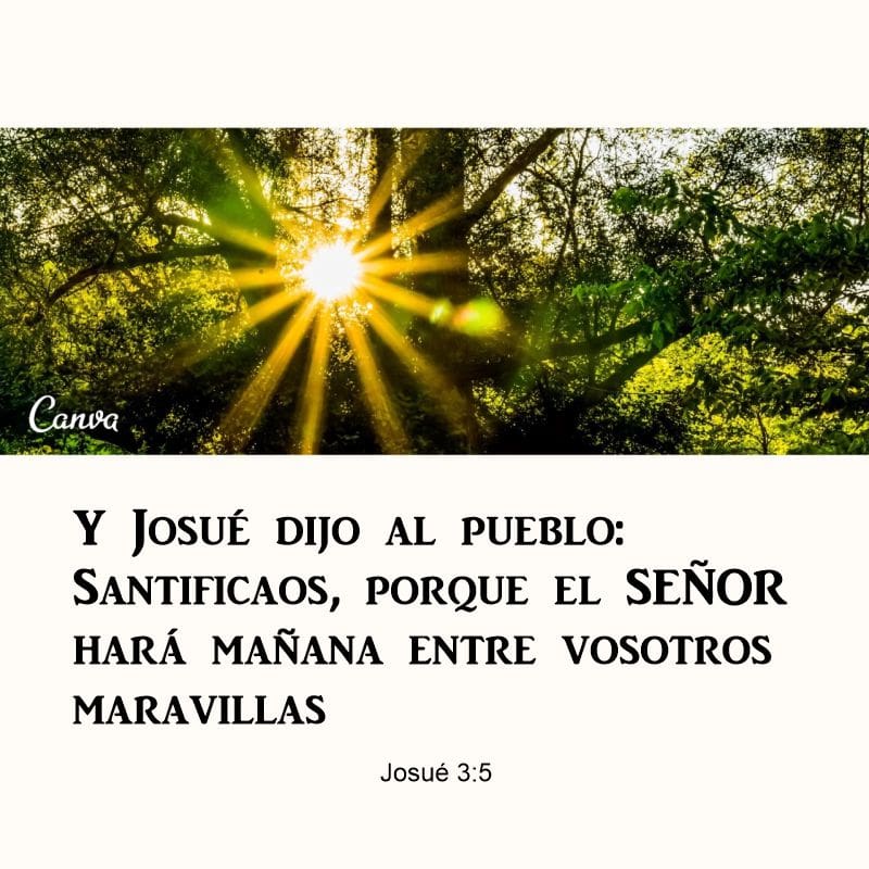 Josué 3:5