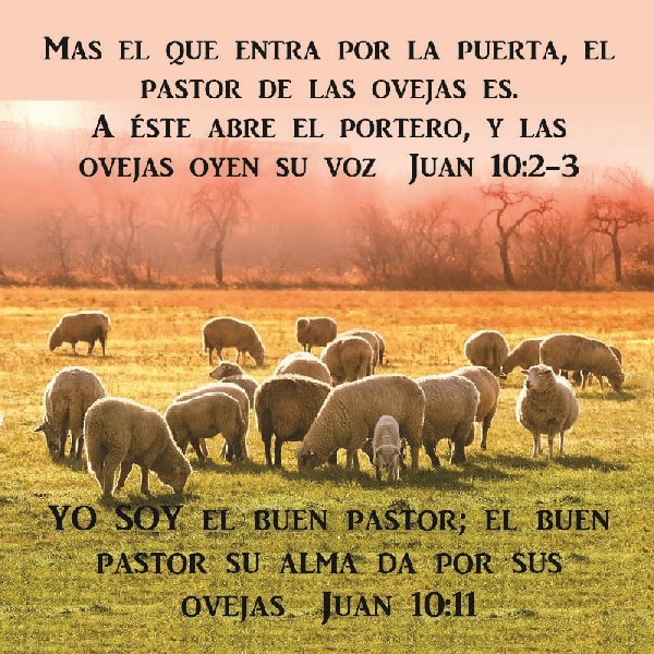 Juan 10:2-3, 11