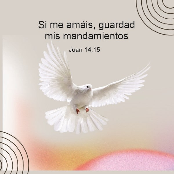 Juan 14:15