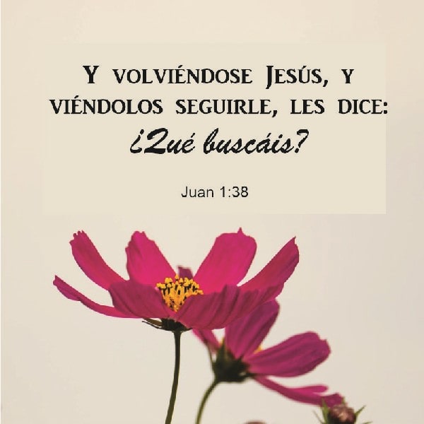 Juan 1:38