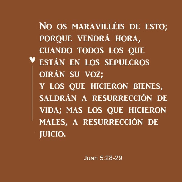 Juan 5:28-29