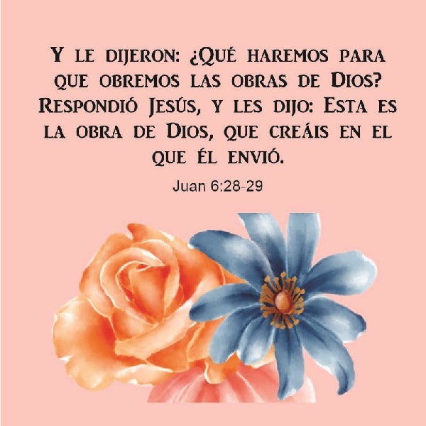 Juan 6:28-29