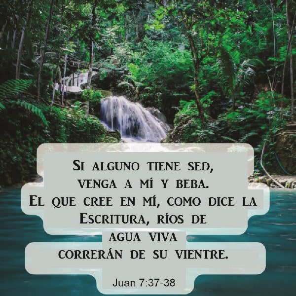 Juan 7:37-38