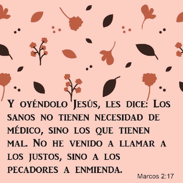 Marcos 2:17