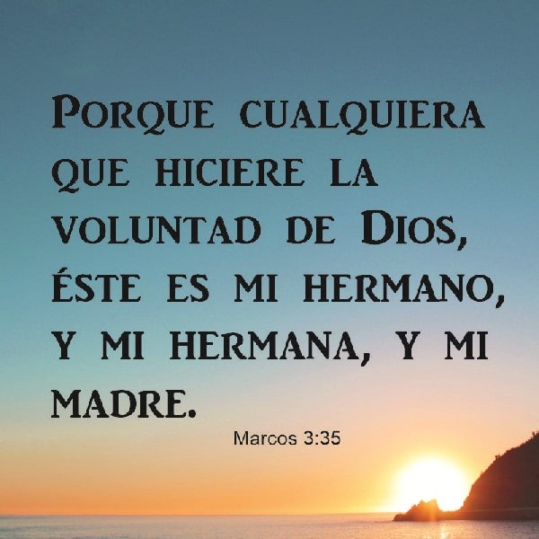 Marcos 3:35