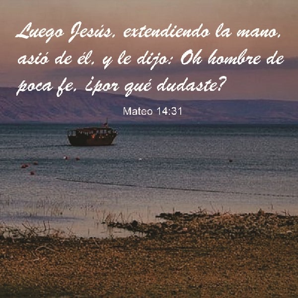 Mateo 14:31