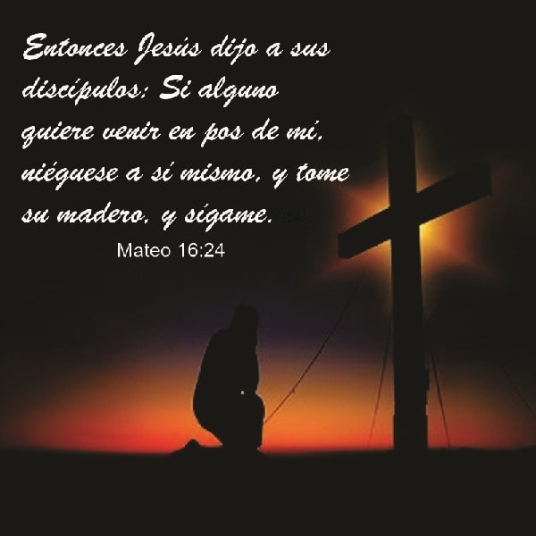 Mateo 16:24