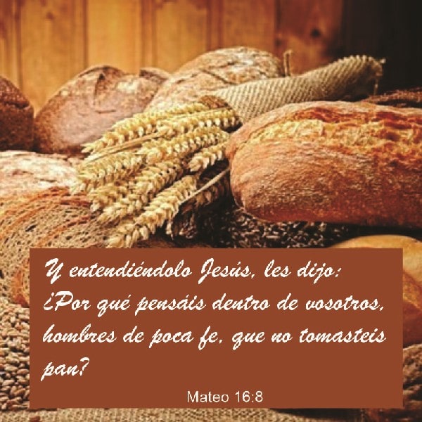 Mateo 16:8