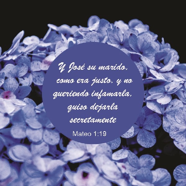 Mateo 1:19