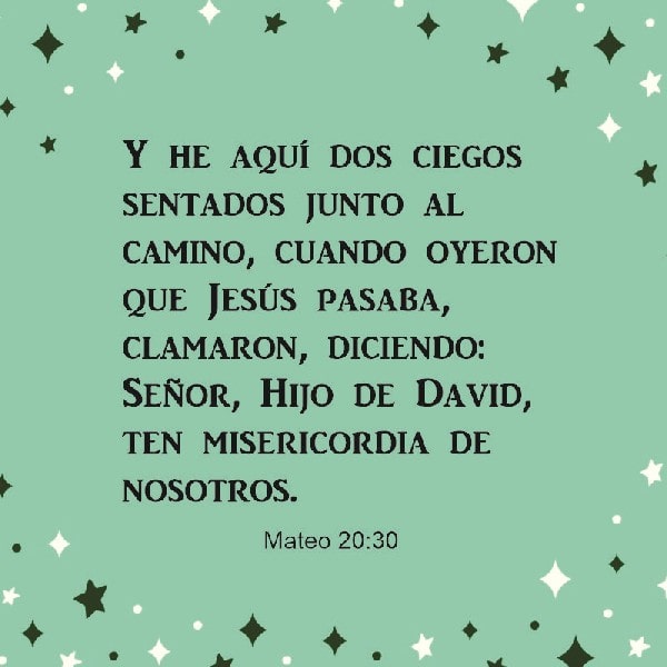 Mateo 20:30