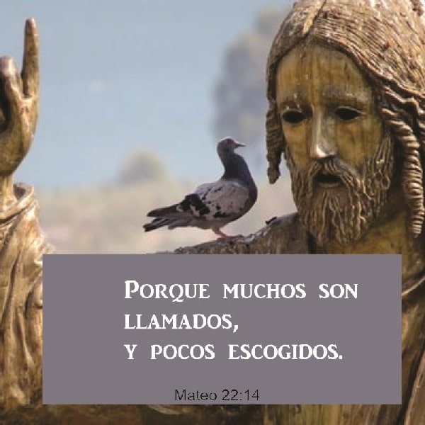 Mateo 22:14