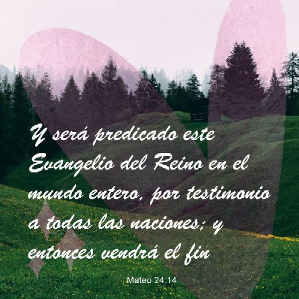 Mateo 24:14