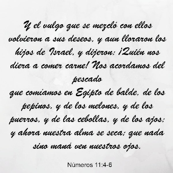 Números 11:4-6