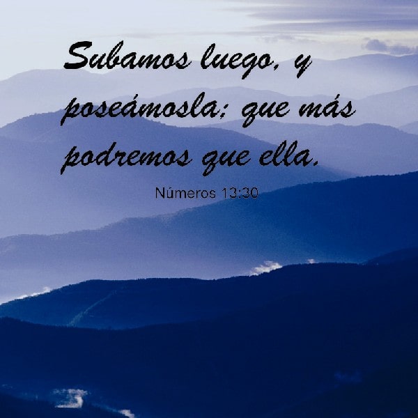 Números 13:30