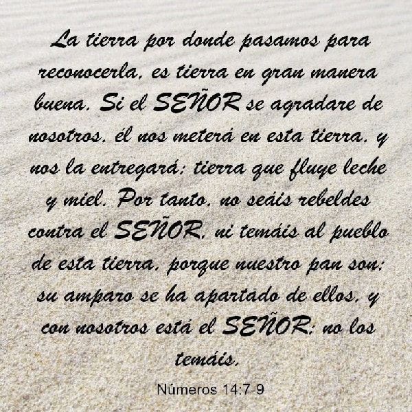 Números 14:7-9