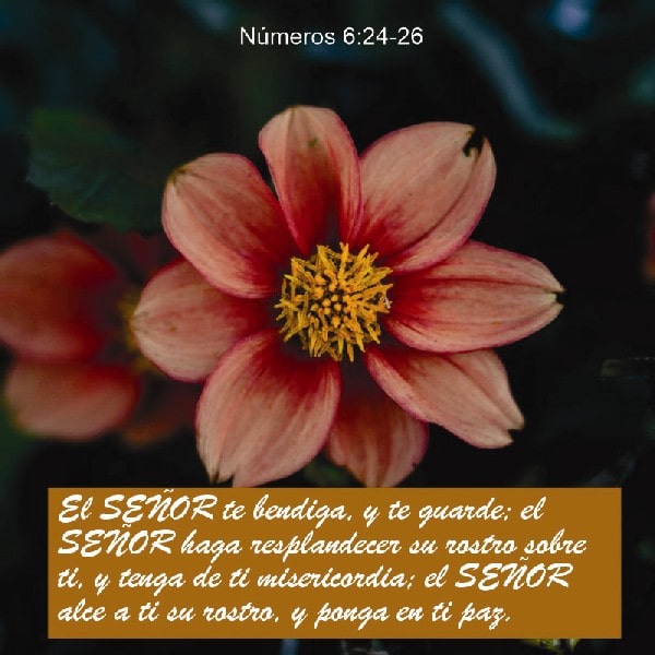 Números 6:24-26