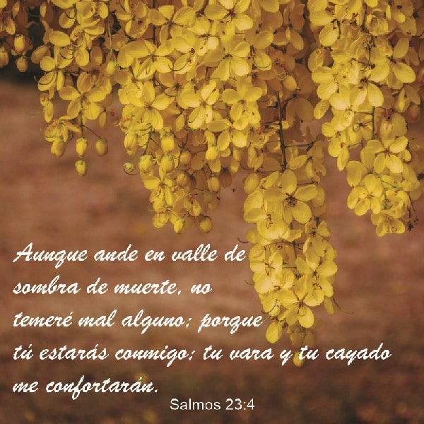 Salmos 23:4