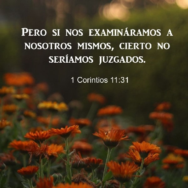 1 Corintios 11:31