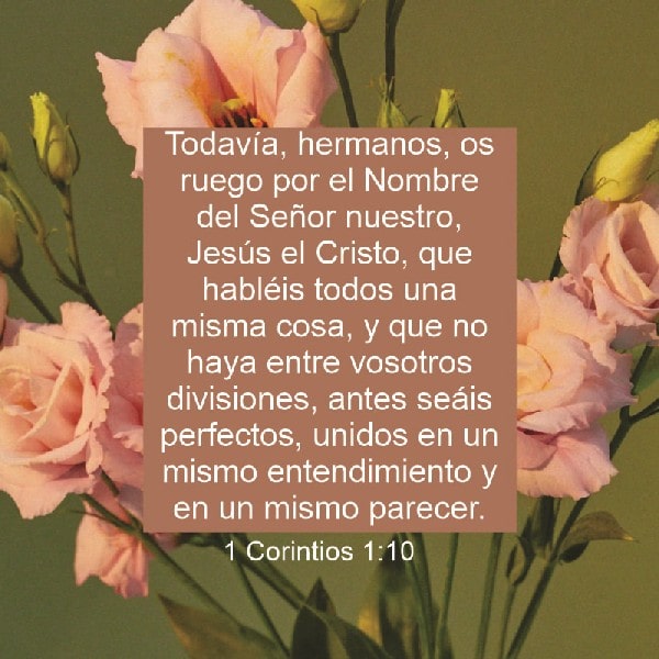 1 Corintios 1:10