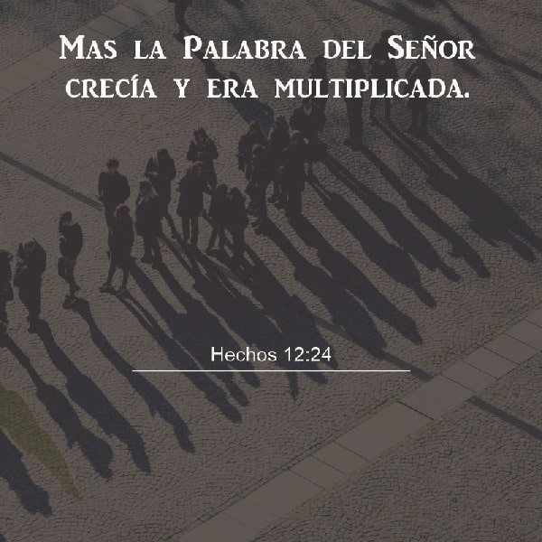 Hechos 12:24