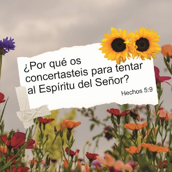 Hechos 5:9