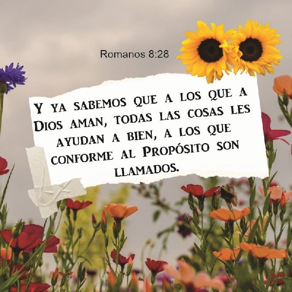 Romanos 8:28