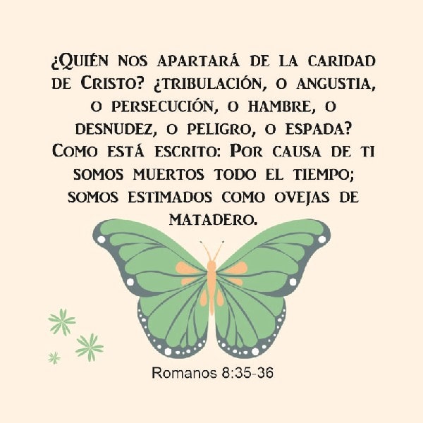 Romanos 8:35-36