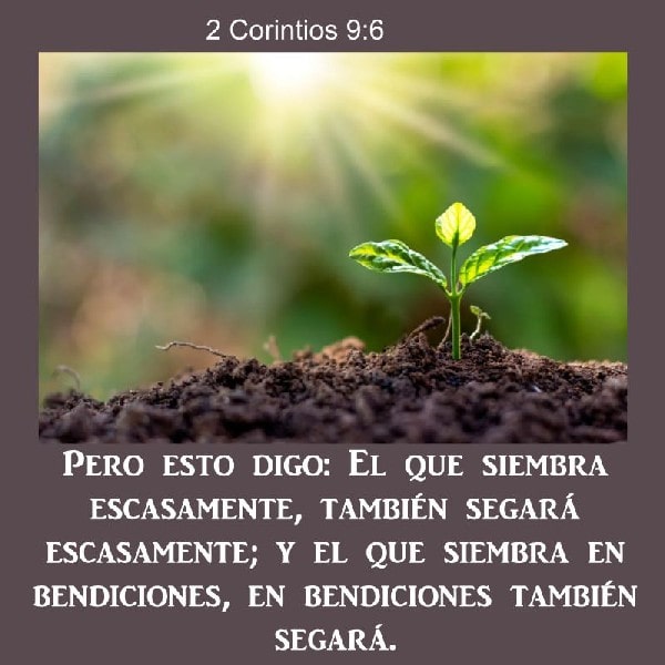 2 Corintios 9:6