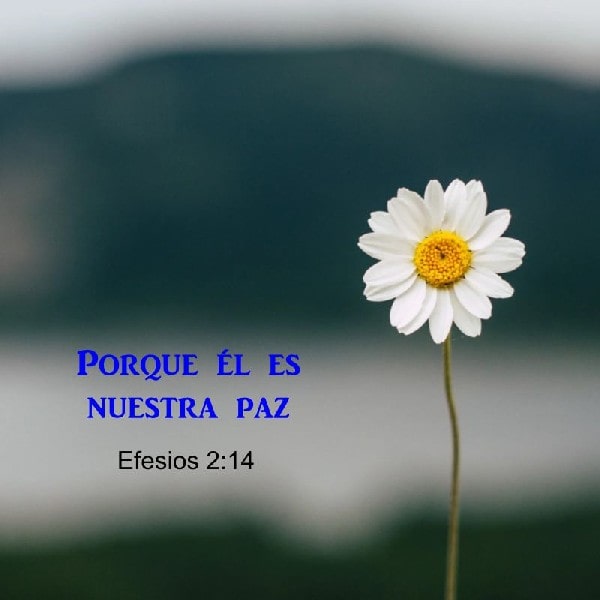 Efesios 2:14