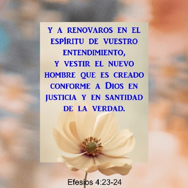 Efesios 4:23-24