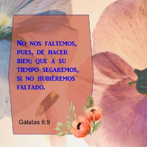 Gálatas 6:9