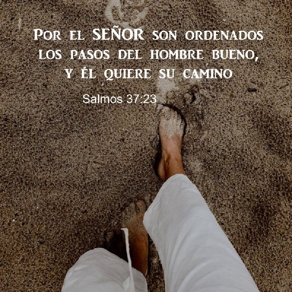 Salmo 37:23