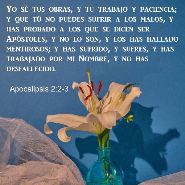 Apocalipsis 2:2-3