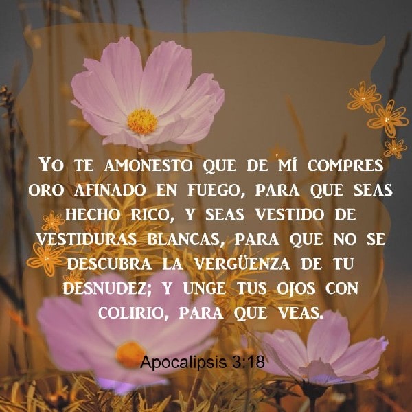 Apocalipsis 3:18