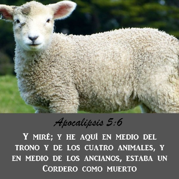 Apocalipsis 5:6