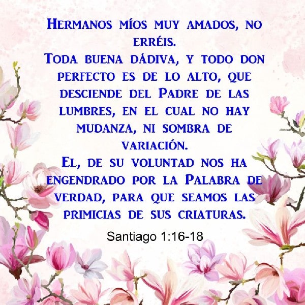 Santiago 1:16-18
