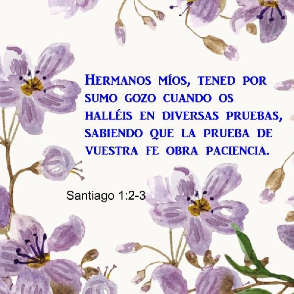 Santiago 1:2-3