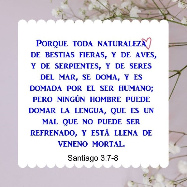 Santiago 3:7-8