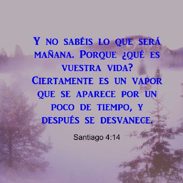 Santiago 4:14